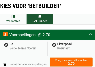 Voorbeeld van Toto Betbuilder